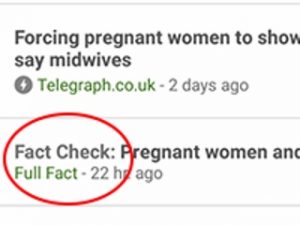 google_fact_check